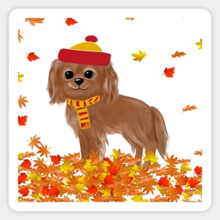 Ruby Cavalier King Charles Spaniel in Fall Leaves Sticker